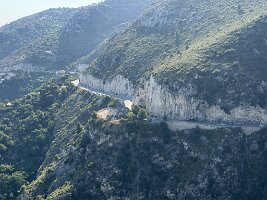 IMG_6903