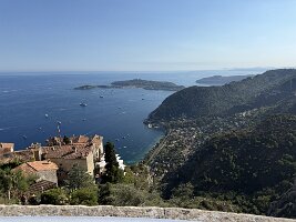 IMG_6906