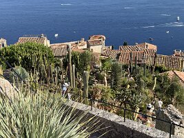 IMG_6907