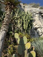 IMG_6910