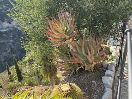 IMG_6912