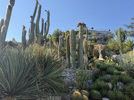 IMG_6914