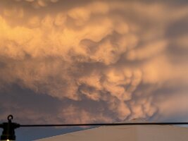 IMG_6921