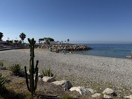 IMG_6931