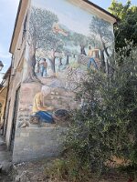 IMG_6932