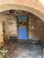 IMG_6961