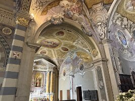 IMG_6972
