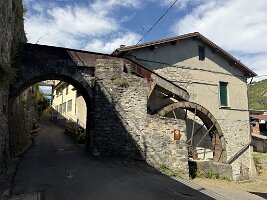 IMG_6975