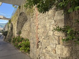 IMG_6977