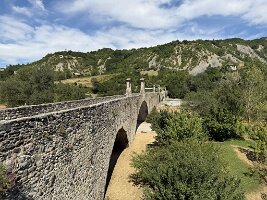 IMG_6978