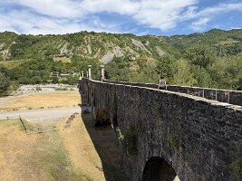 IMG_6979