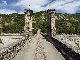 IMG_6981