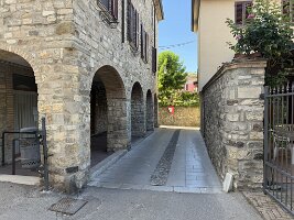 IMG_6989