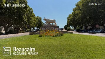IMG_7047