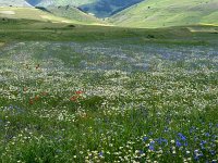 IMG_6192