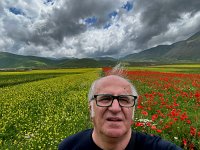IMG_6230