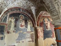 IMG_6446
