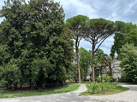IMG_1880