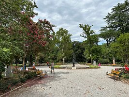 IMG_1882