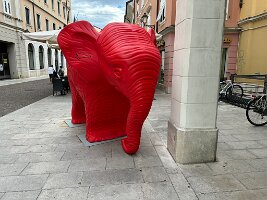 IMG_1888