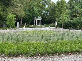 IMG_1893