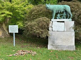IMG_1894