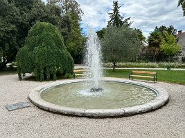 IMG_1896
