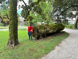 IMG_1897