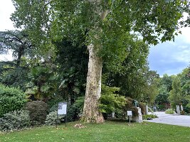IMG_1903