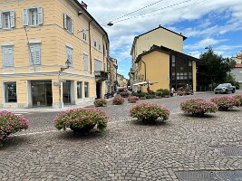 IMG_1904