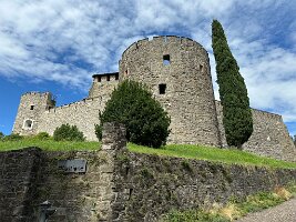 IMG_1910