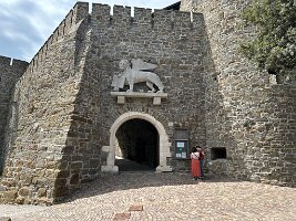 IMG_1911