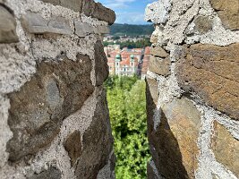 IMG_1914