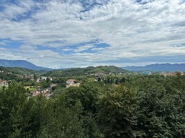 IMG_1919