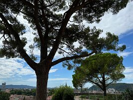 IMG_1921
