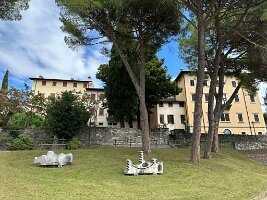 IMG_1924