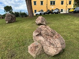 IMG_1926