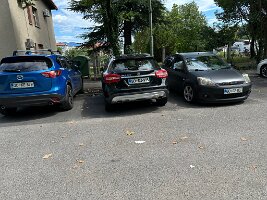 IMG_1930