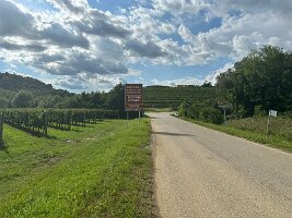 IMG_1940