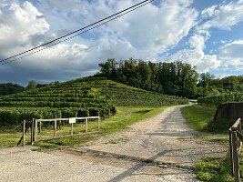IMG_1943