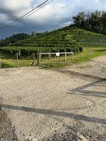 IMG_1945