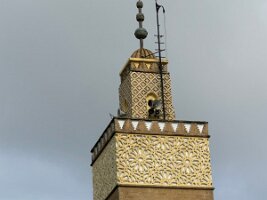 IMG_9321