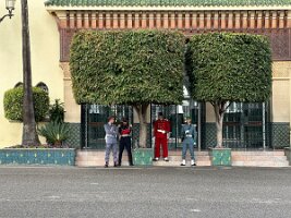 IMG_9328