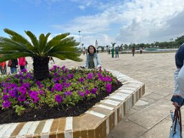 IMG_9335