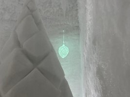IMG_3981