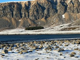 IMG_4681