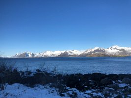 IMG_8941