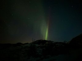 IMG_4534
