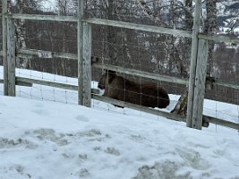 IMG_4872