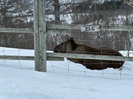 IMG_4873